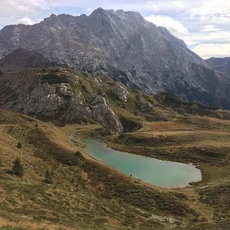 Casa Arnica Alpina Апартаменты Форни-Авольтри