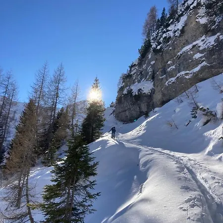 Апартаменты Casa Arnica Alpina *